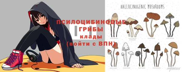 не бодяженный Горнозаводск