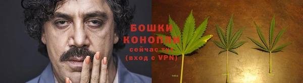 не бодяженный Горнозаводск