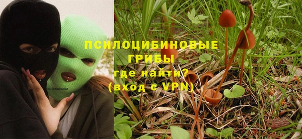 прущая мука Горняк