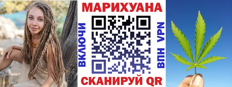 Конопля сатива Урус-Мартан